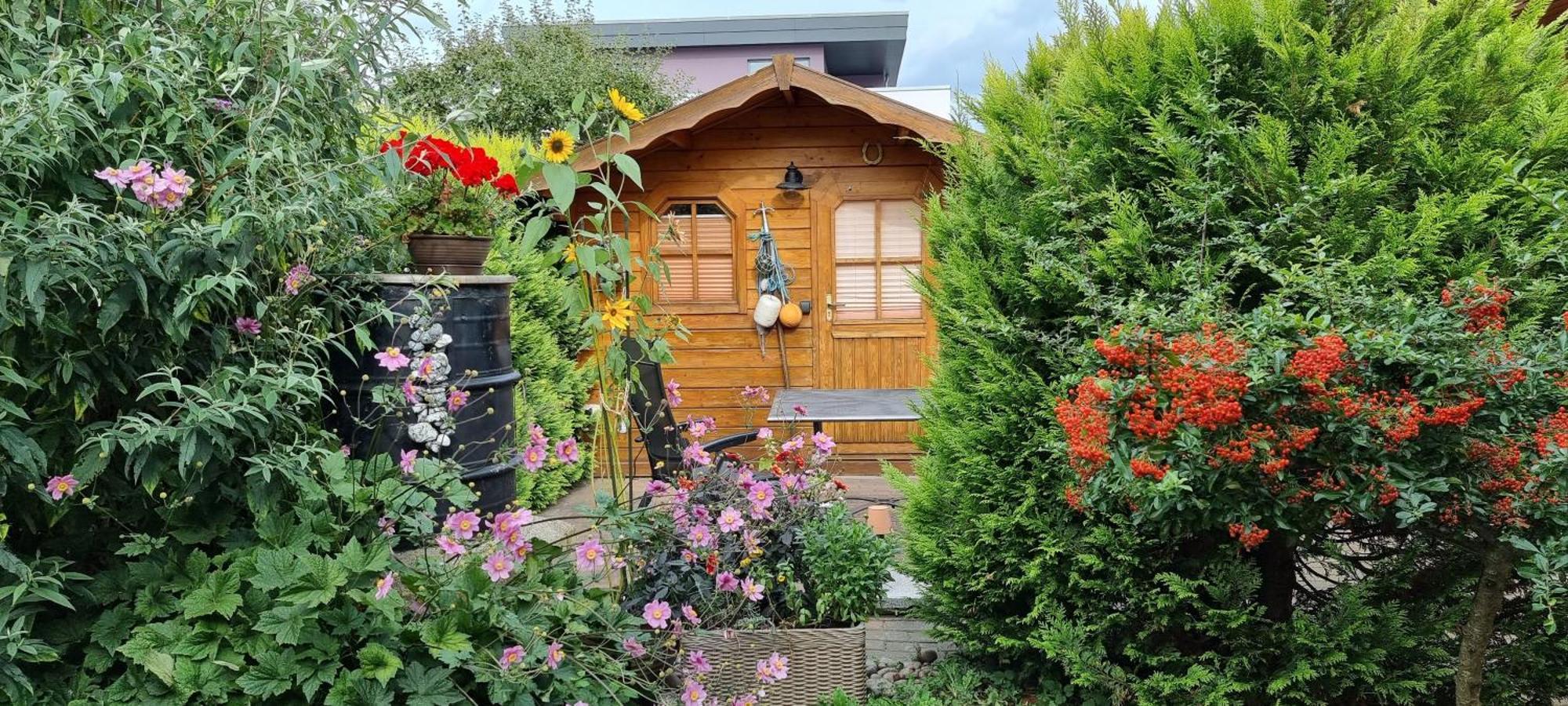 Ferienwohnung Kollwitz Sassnitz Esterno foto
